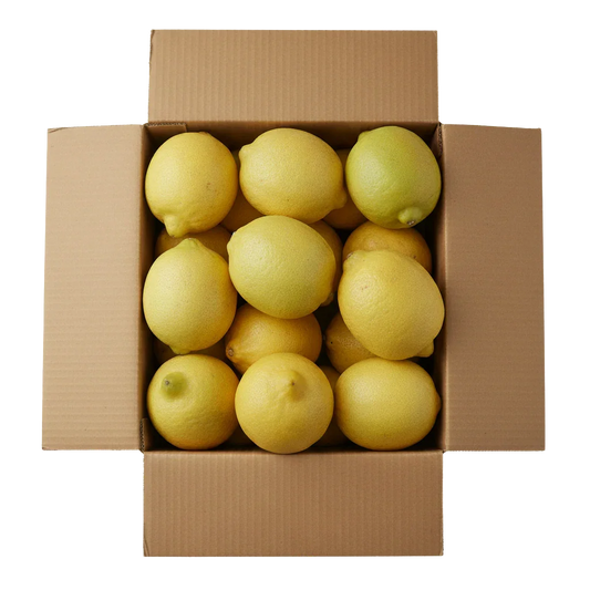 Frische andalusische Zitronen im Karton, direkt vom Feld, Fincafresh Obst und Gemüse