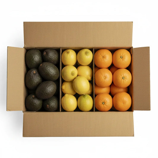 Frische Avocados, Zitronen und Orangen aus Andalusien in einem Versandkarton, direkt vom Feld